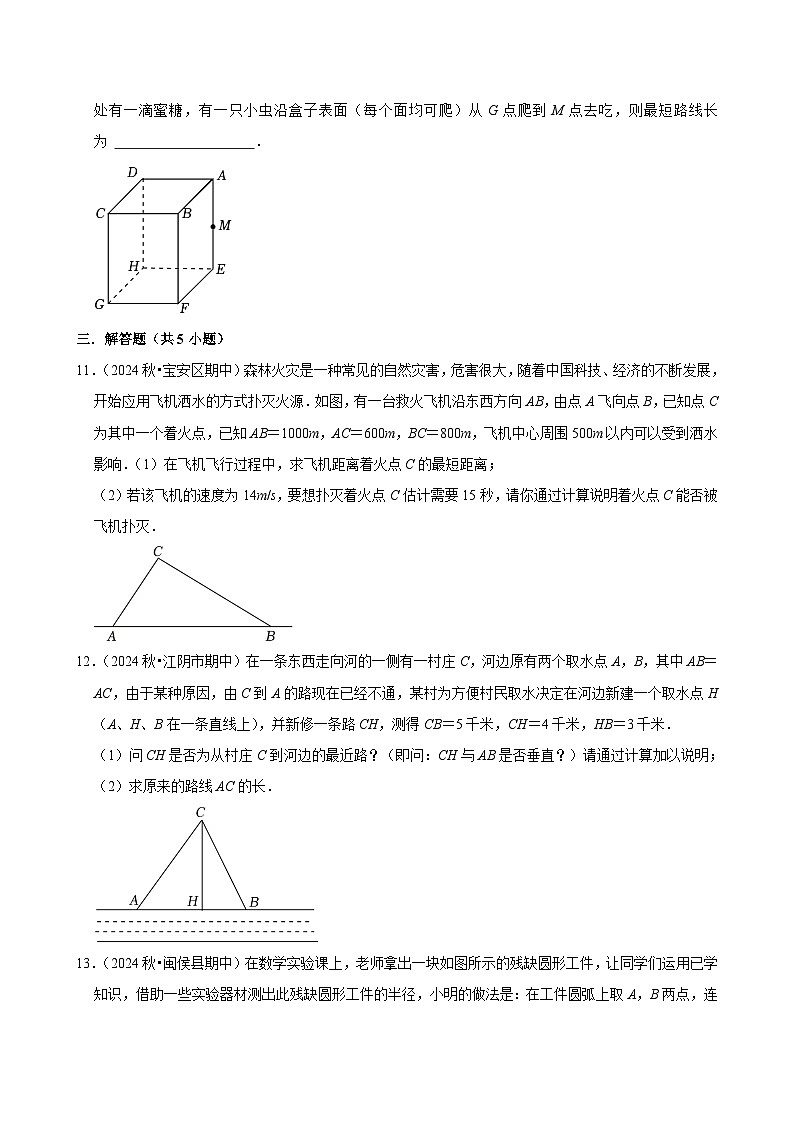 2024-2025学年上学期初中数学北师大版八年级期末必刷常考题之勾股定理练习第3页