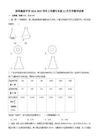广东省深圳市深圳高级中学2024-2025学年上学期九年级12月月考数学试卷