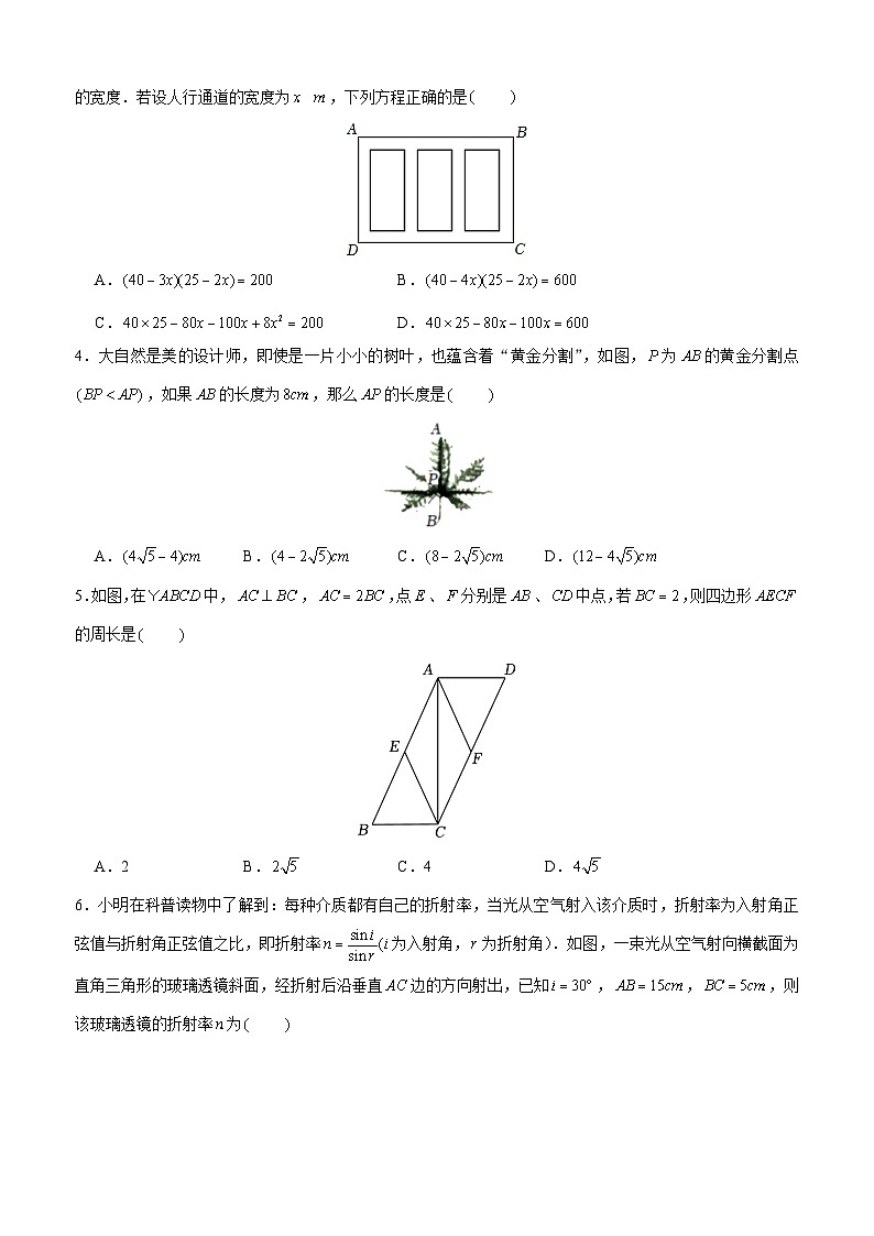 广东省深圳市深圳高级中学2024-2025学年上学期九年级12月月考数学试卷第2页