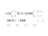 初中數(shù)學新湘教版七年級上冊第3章 一次方程（組）（三）作業(yè)課件2024秋