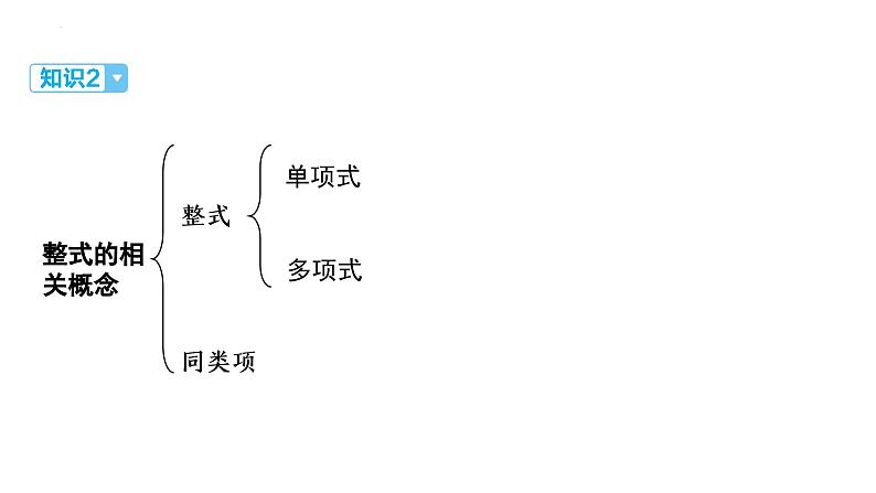 2025年中考数学一轮教材复习-第一章  数与式   整式课件第5页