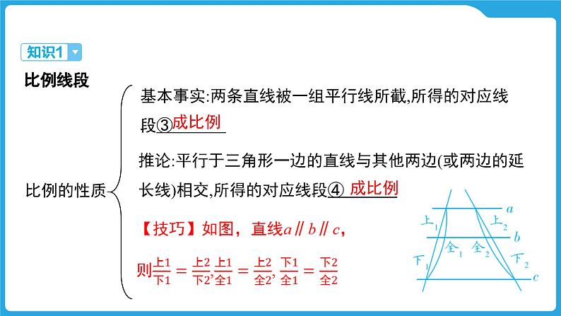 2025年中考数学一轮教材复习-第四章  三角形  相似三角形(含位似)课件第4页