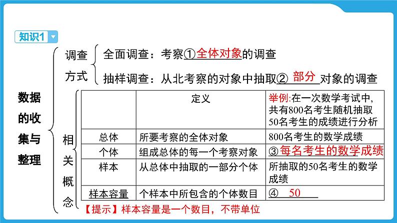 2025年九年级中考数学一轮复习课件 --第八章  统计与概率  统计第3页