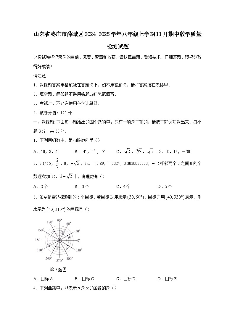 山东省枣庄市薛城区2024-2025学年八年级上学期11月期中数学质量检测试题（附答案）第1页