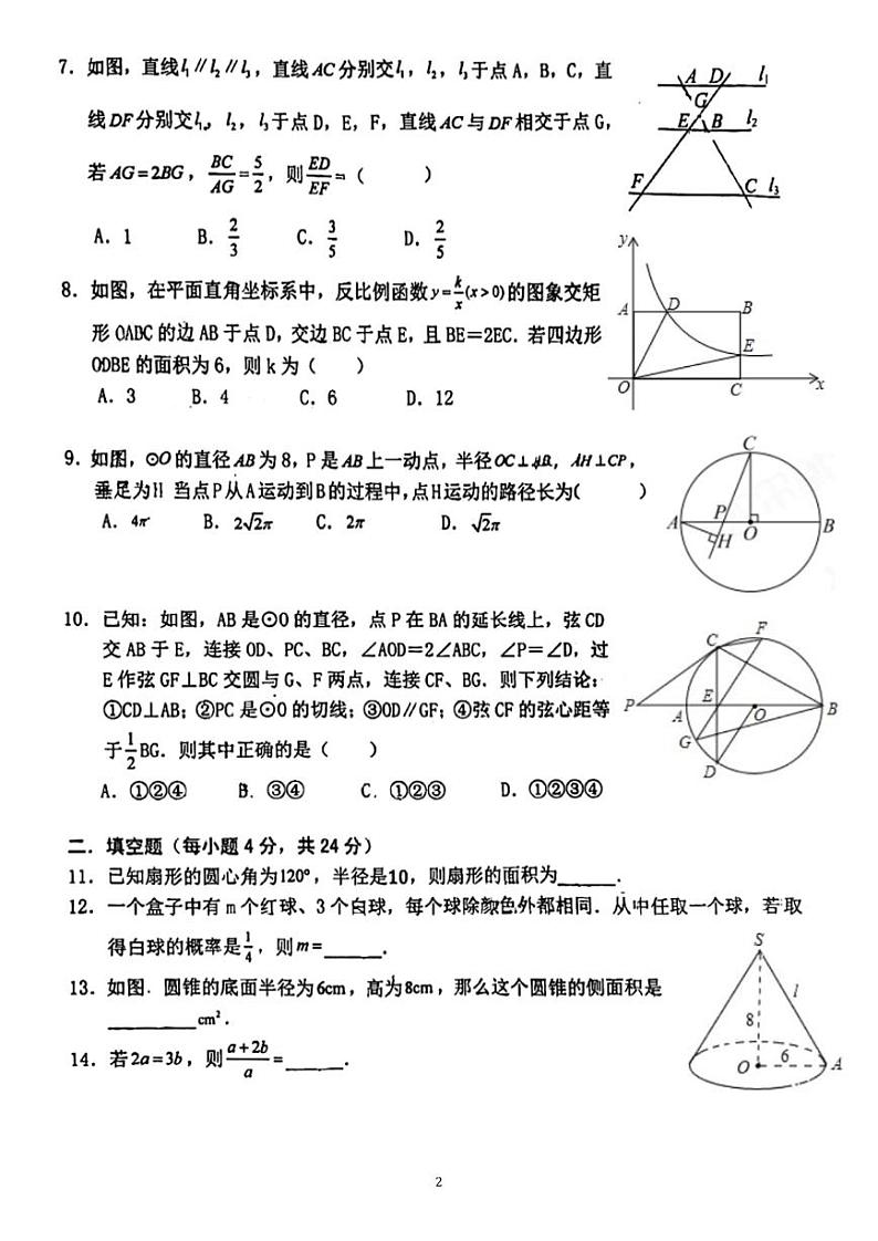 福建省龙岩市新罗区龙岩初级中学2024-2025学年九年级上学期第二次月考数学试题(12月份)第2页