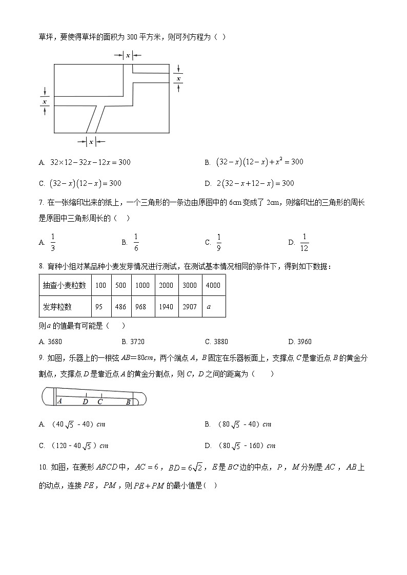 辽宁省沈阳市新民市2024-2025学年九年级上学期阶段性学业水平测试数学试卷（原卷版）-A4第2页