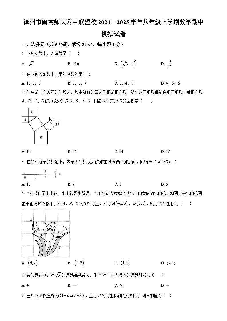 福建省漳州市闽南师大附中联盟校2024-2025学年八年级上学期数学期中模拟试卷（原卷版）-A4第1页