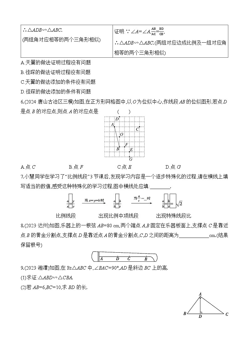 第21课时 相似三角形  -【备战2025】2025年中考数学一轮专题复习强化练习（含答案）第2页