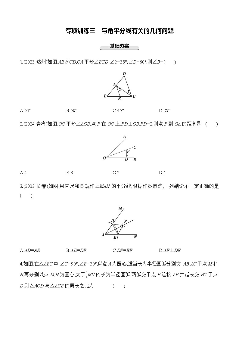 专项训练03 与角平分线有关的几何问题  -【备战2025】2025年中考数学一轮专题复习强化练习（含答案）第1页