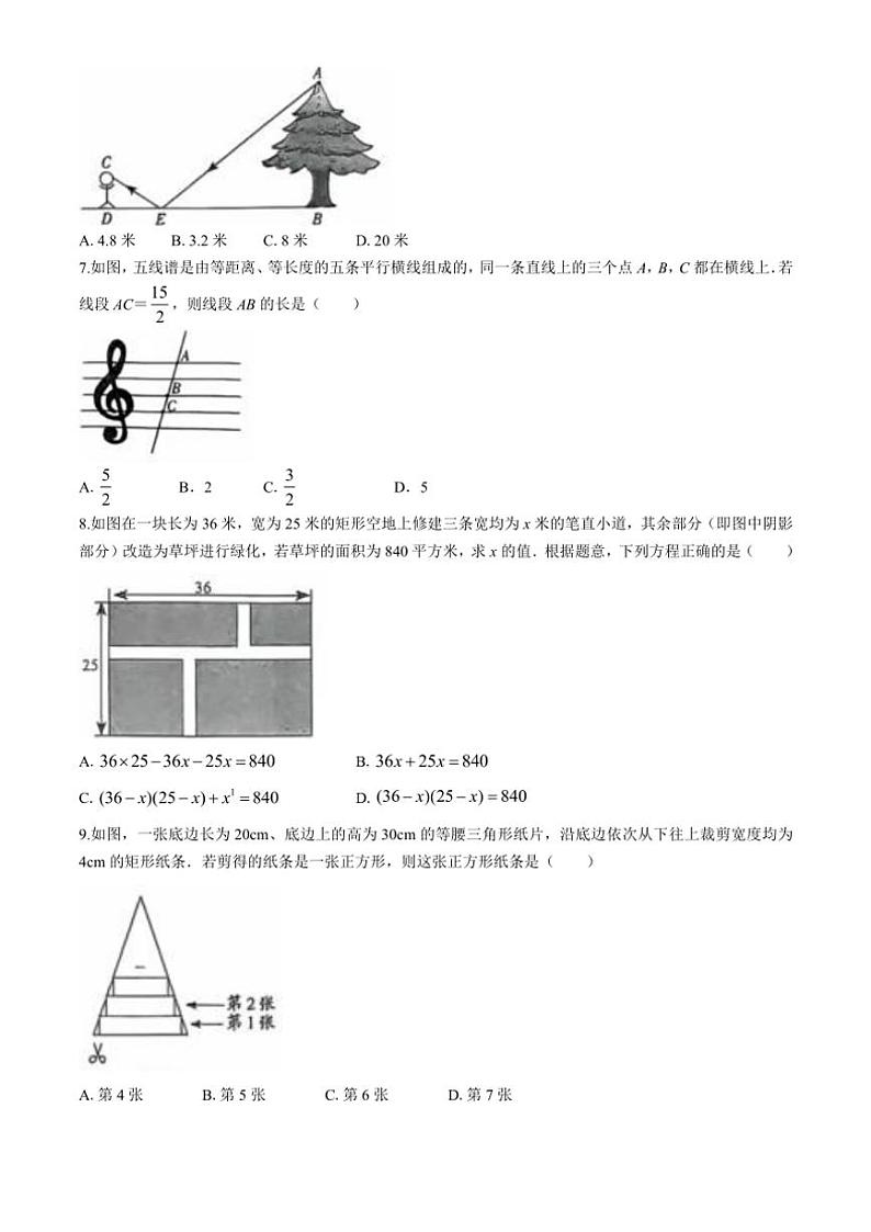 2024～2025学年广东省茂名市电白区九年级(上)数学第三次月测月考试卷(含答案)第2页
