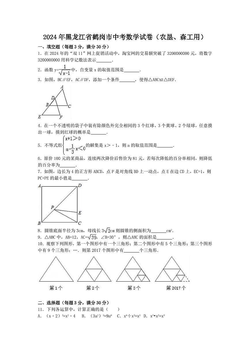 2024年黑龙江省鹤岗市中考数学模拟试卷（含答案解析版）第1页
