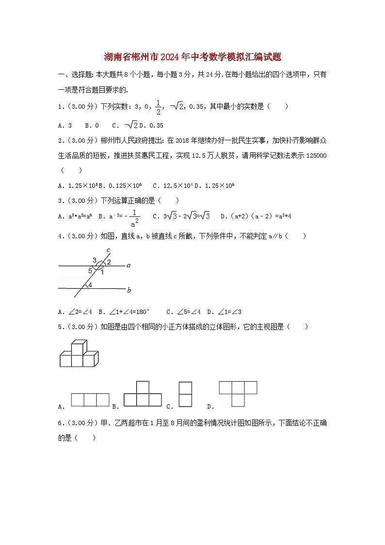 湖南省郴州市2024年中考数学模拟汇编试题（含解析）第1页