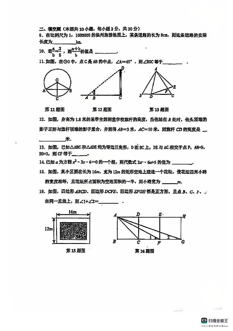江苏省扬州市翠岗中学2024-2025学年上学期九年级数学第一次月考试卷第2页