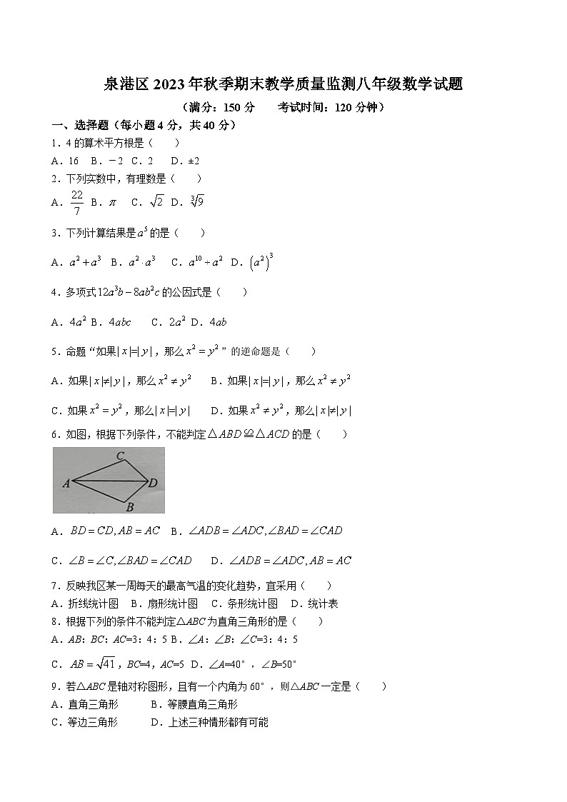 福建省泉州市泉港区2023-2024学年八年级上学期期末考试数学试卷(含答案)第1页