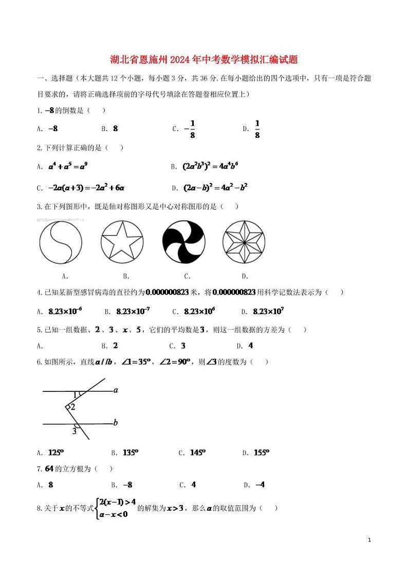 湖北省恩施州2024年中考数学模拟试题（含扫描答案）第1页