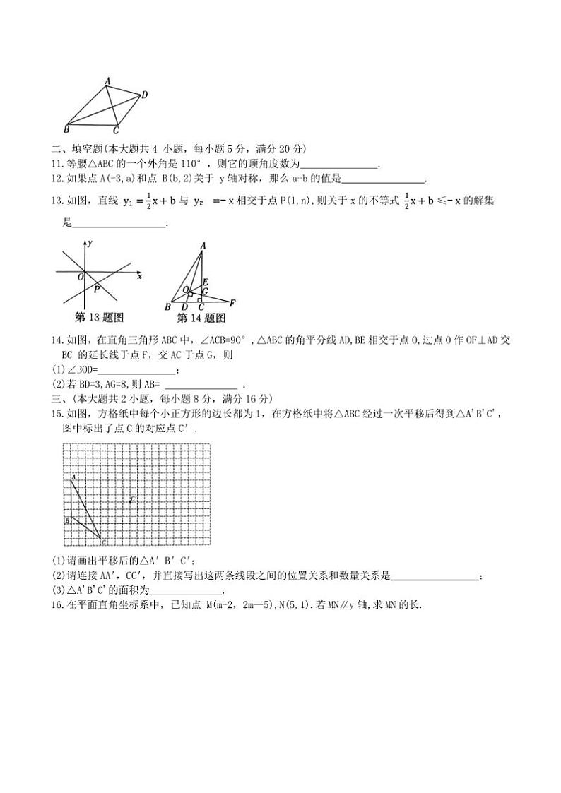 2024～2025学年安徽省池州市八年级数学上册(沪科版)期末复习卷(二)试卷(含答案)第3页