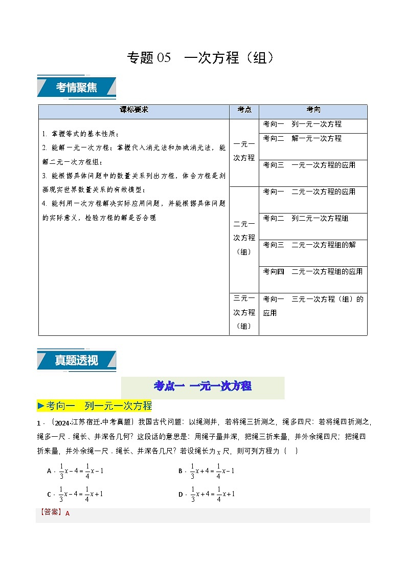 专题05 一次方程（组）（解析版）第1页