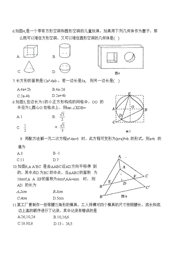 河北师范大学附属中学2024届九年级下学期模拟训练数学试卷第2页