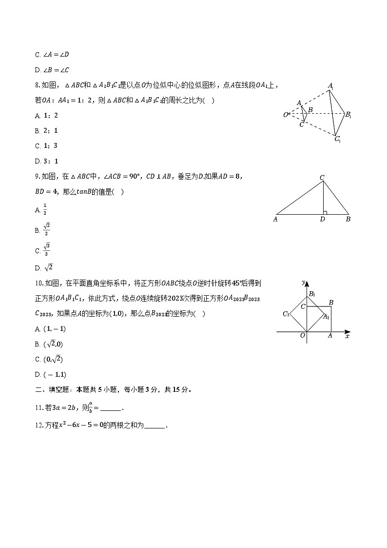 河南省洛阳市偃师市2024届九年级下学期中考一练模拟考试数学试卷(含答案)第2页