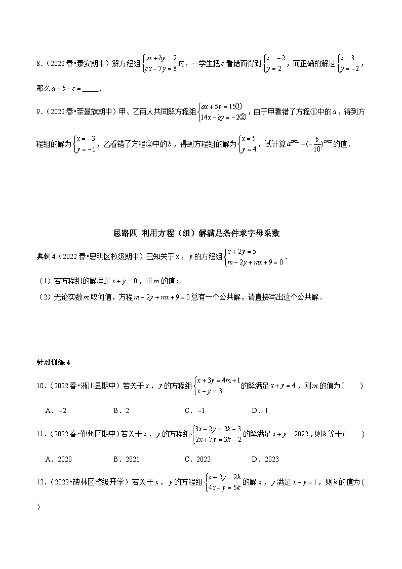 人教版数学七下期末考点复习第08讲 求二元一次方程（组）中字母系数的思路专题复习（原卷版）第3页