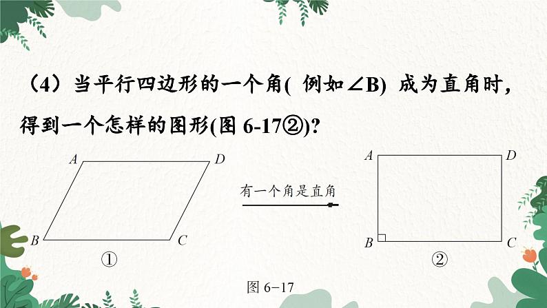 青岛版数学八年级下册 6.3 特殊的平行四边形课件第5页