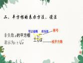 青岛版数学八年级下册 7.5 平方根课件