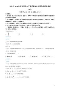 2024年四川省宜宾市中考数学试题（解析版）