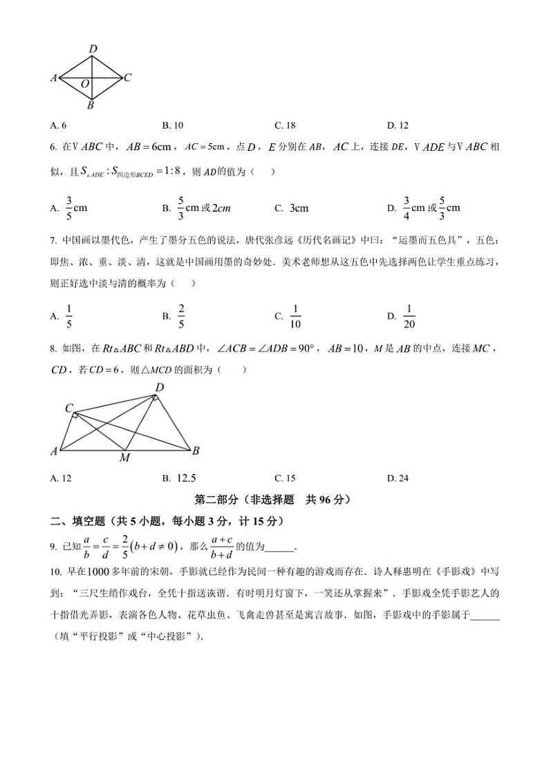 2024_2025学年陕西省咸阳市彩虹学校九年级(上)期中数学试卷(含答案)第2页