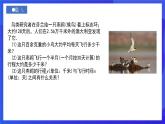 人教版數(shù)學(xué)八年級下冊19.2.1.1《正比例函數(shù)的概念》課件+分層練習(xí)（原卷版+解析版）