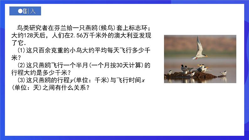 人教版数学八年级下册19.2.1.1《正比例函数的概念》（同步课件)第2页