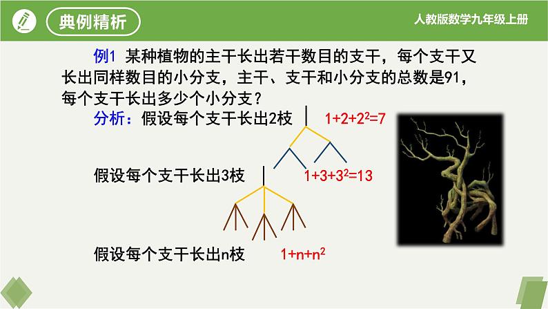 人教版数学九年级上册同步课件21.3实际问题与一元二次方程(第1课时传播问题）第8页