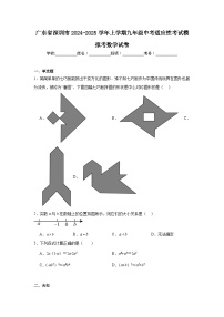 广东省深圳市2024-2025学年上学期九年级中考适应性考试模拟考数学试卷
