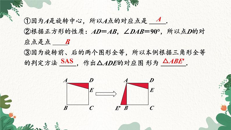 人教版数学九年级上册 23.1 图形的旋转第2课时 旋转作图与坐标系中的旋转变换课件第5页