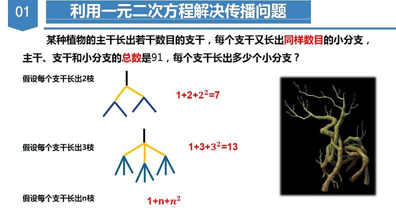 人教版数学九年级上册同步教学课件21.3 实际问题与一元二次方程（传播问题和增长率问题）第7页