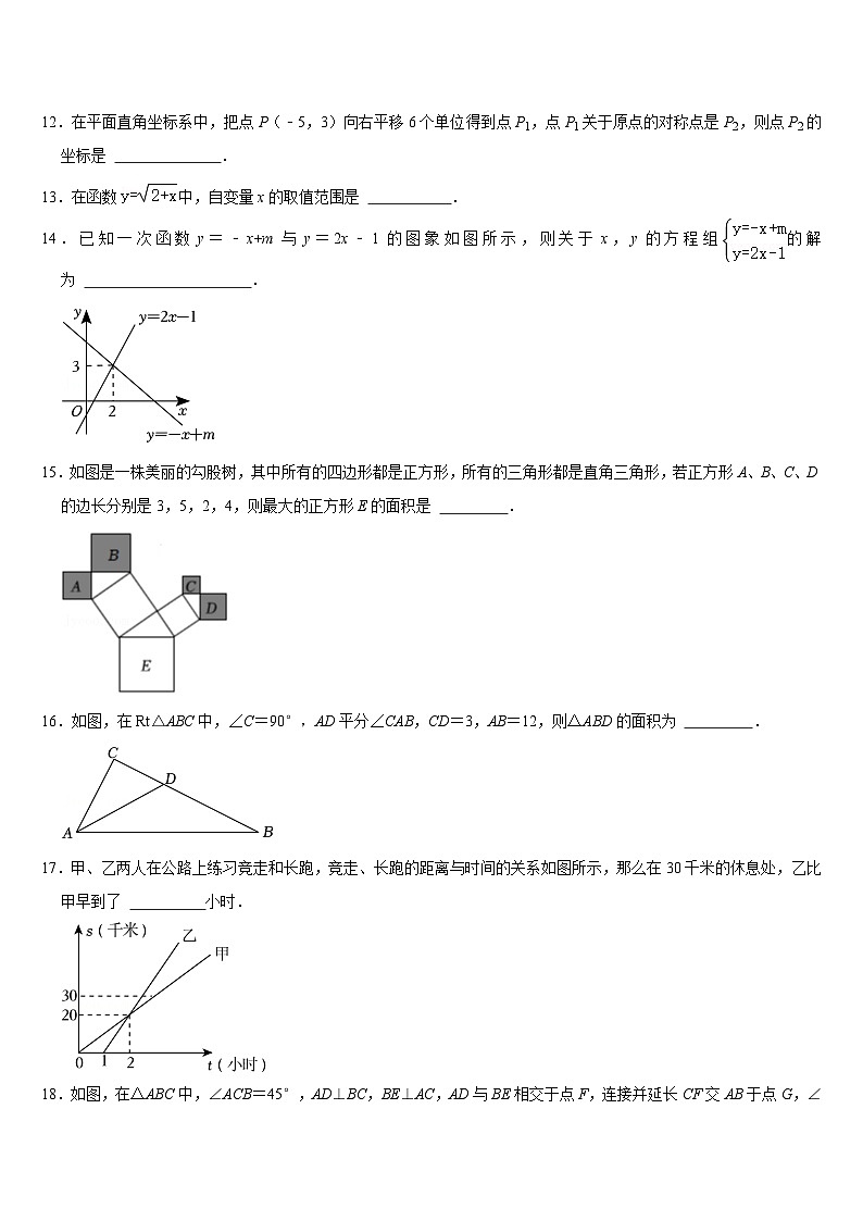2024—2025学年苏科版数学八年级上册期末复习试题第3页