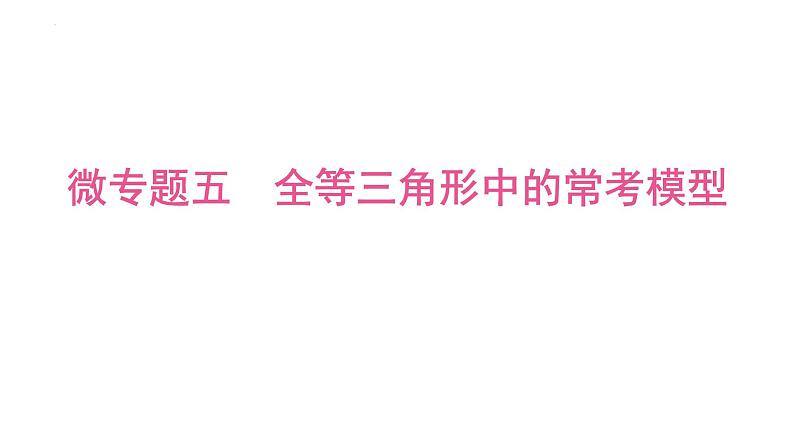 2025年九年级中考数学一轮考点复习课件：微专题五全等三角形中的常考模型第1页