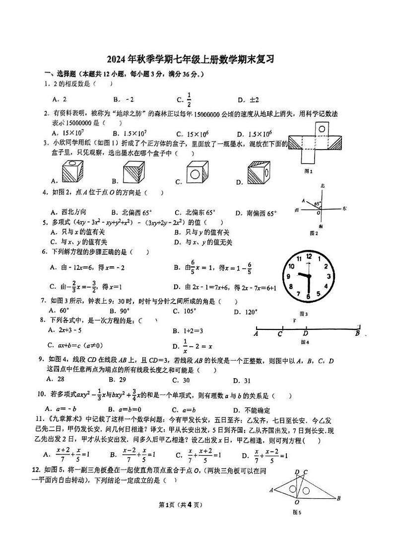 广西南宁翠竹实验学校2024--2025学年上学期七年级数学12月月考试卷第1页