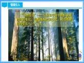 19.1.1 变量与常量（教学课件+分层作业+导学案+教学设计）