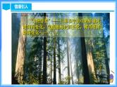 19.1.1 变量与常量（教学课件+分层作业+导学案+教学设计）