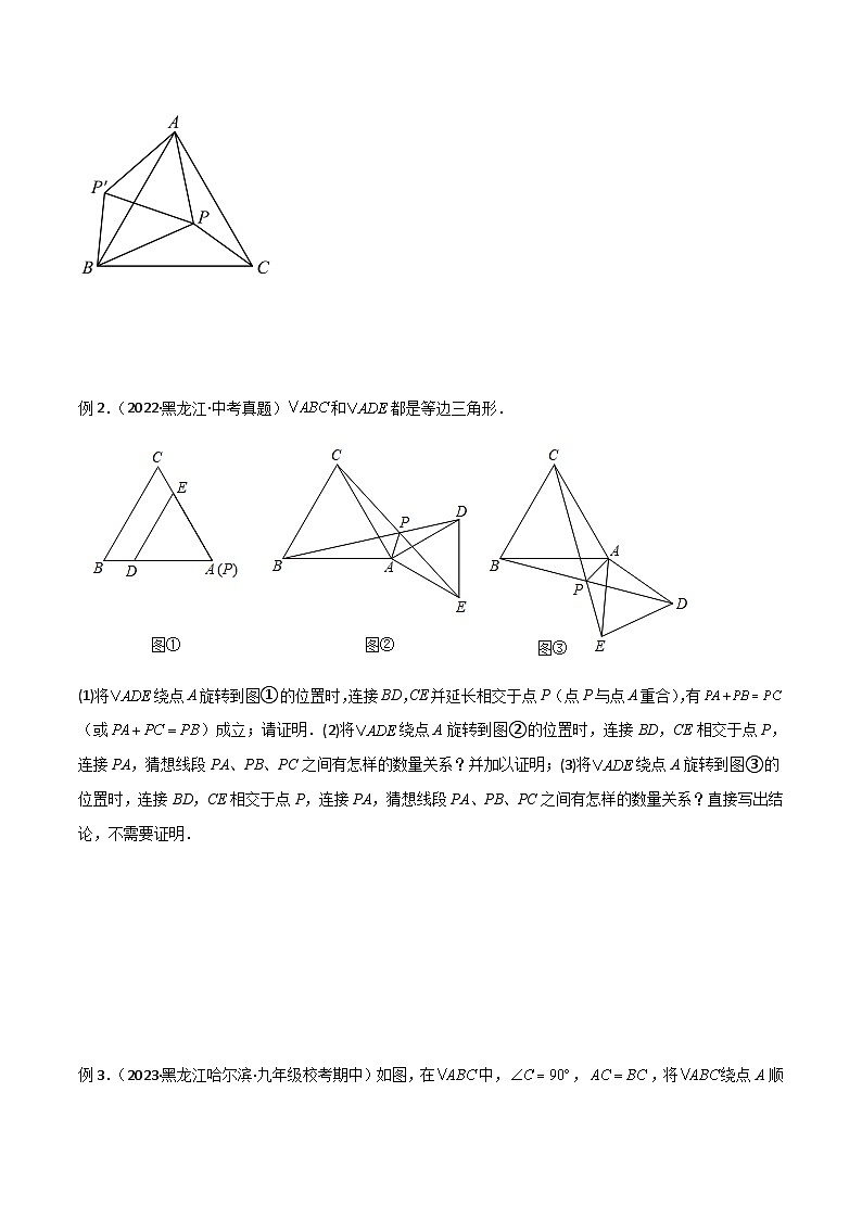 人教版数学八年级上册期中复习 专题03 全等模型-手拉手模型（原卷版）第2页