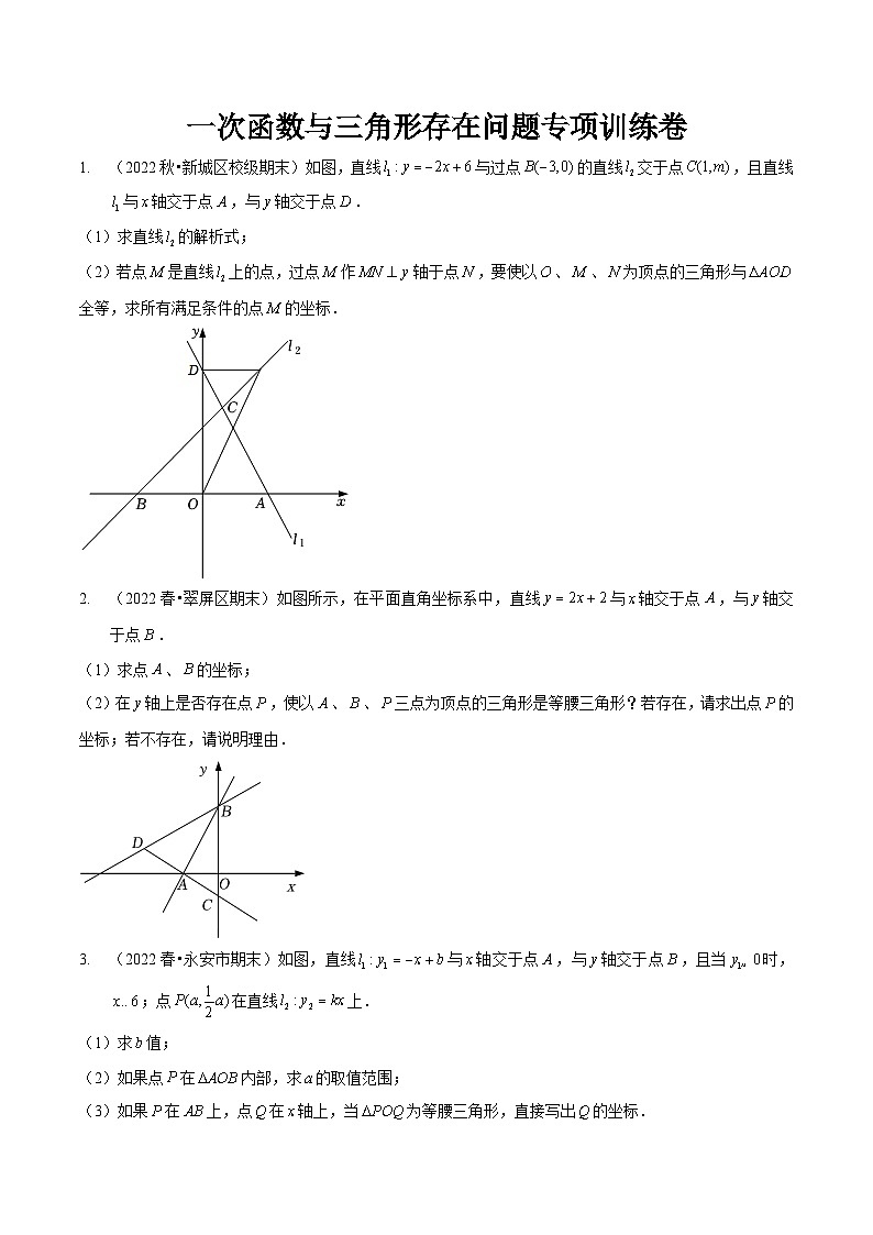 北师大版数学八年级上册期末复习专项训练03 一次函数与三角形存在问题（原卷版）第1页