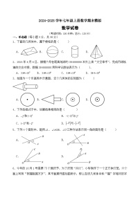 2024-2025学年七年级上学期人教版数学期末模拟试题（无答案）