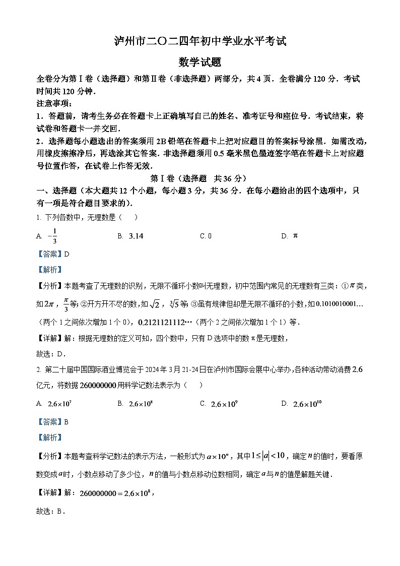 2024年四川省泸州市中考数学试题（解析版）第1页