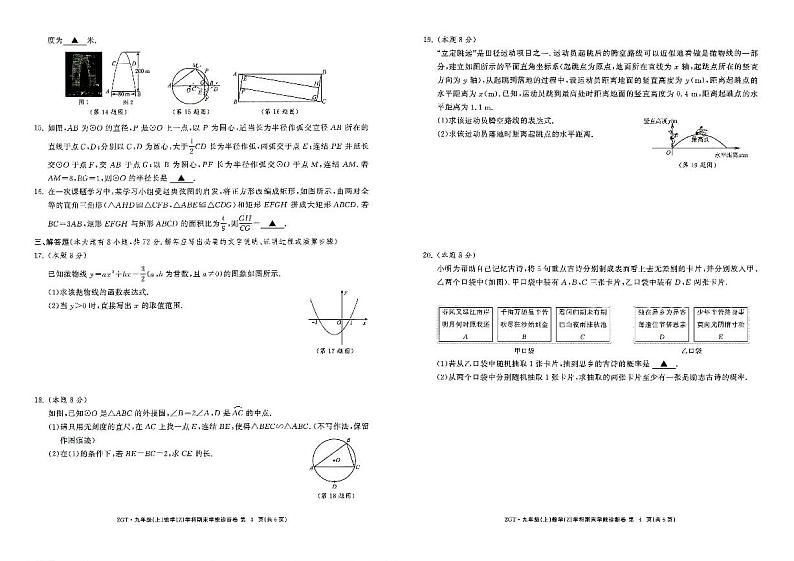 浙江省浙共体2024-2025学年九年级上学期期末学能诊断数学试题（含答案）第2页