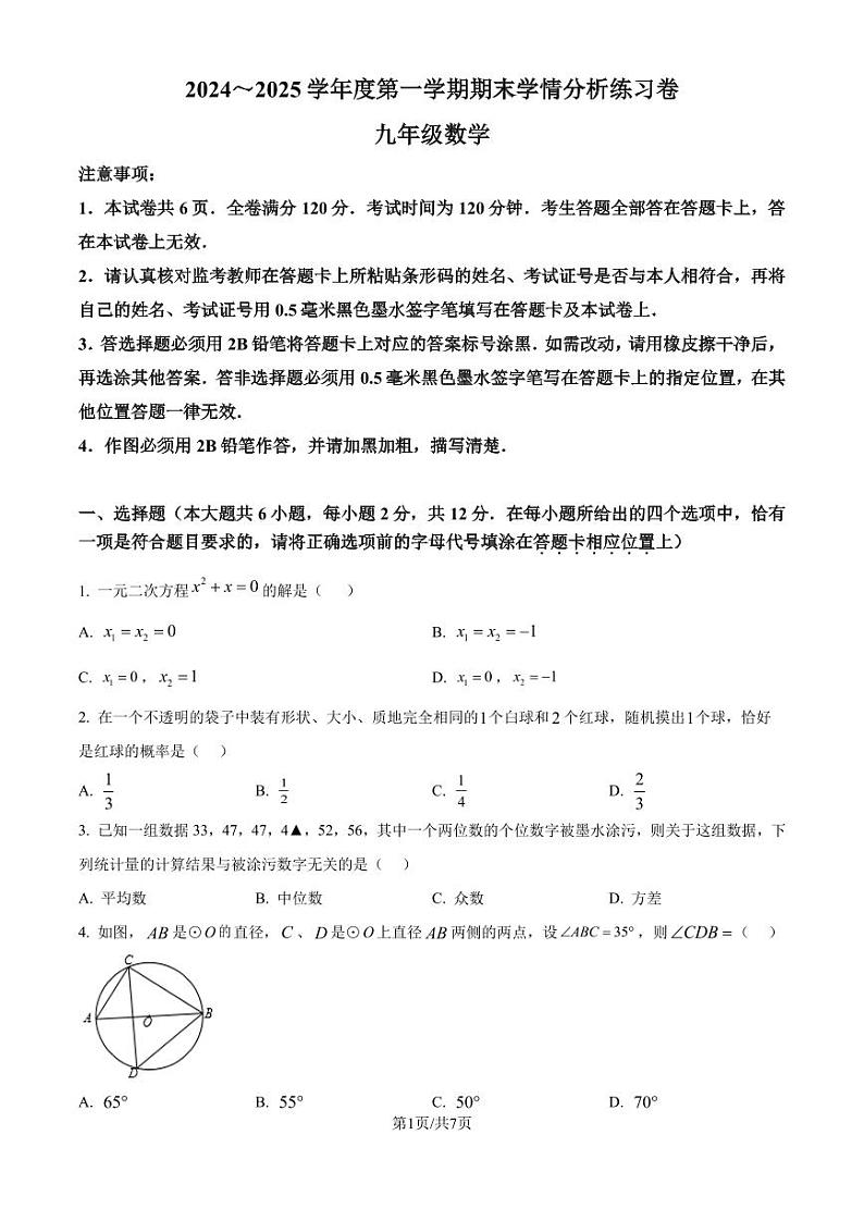 江苏省南京市联合体2024--2025学年九年级上学期期末练习卷 （原卷版）第1页