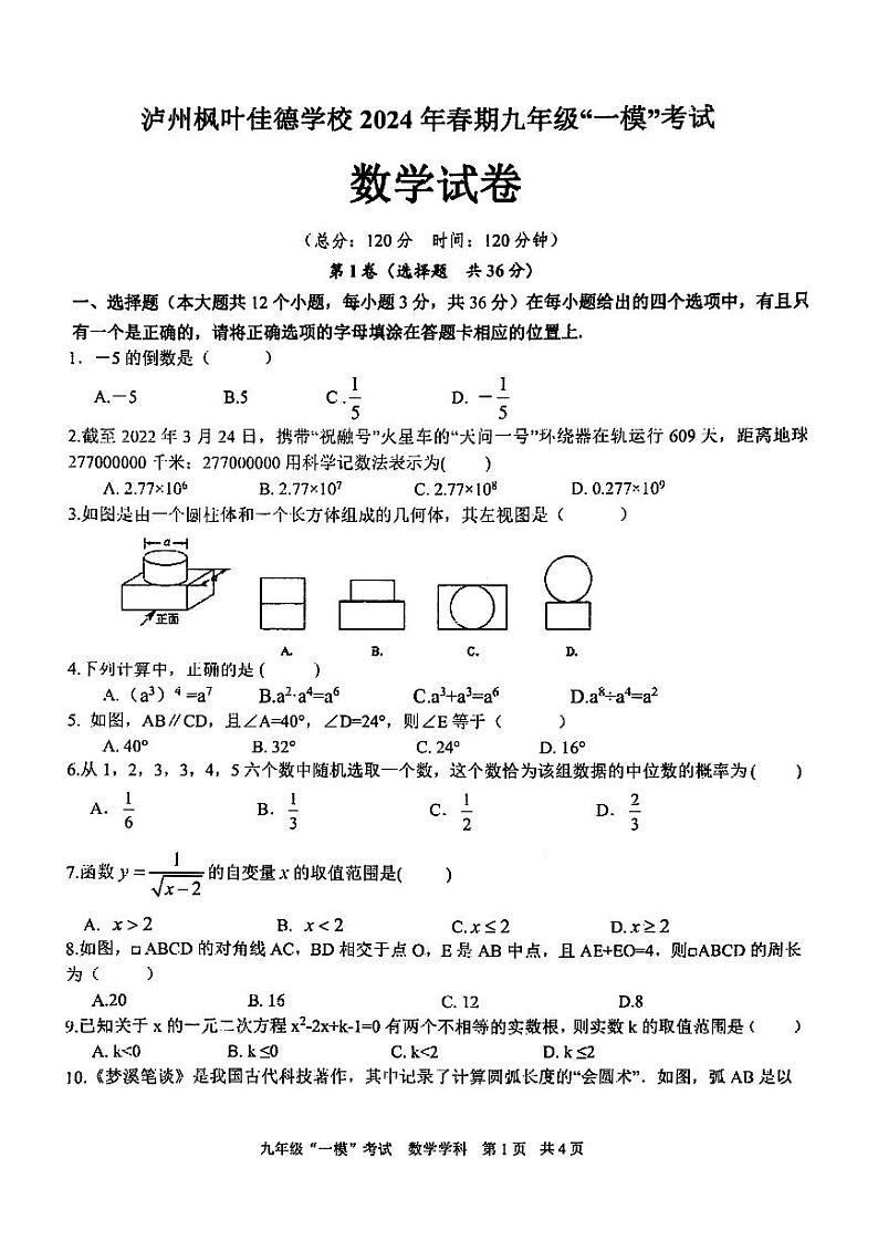 2024年四川省泸州市枫叶佳德学校中考一模数学试题第1页