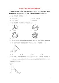 山东省枣庄市2024年中考数学水平提升模拟试题（含解析）