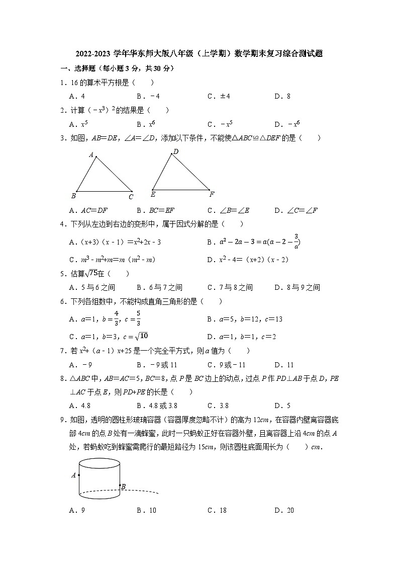 华东师大版八年级上学期数学期末复习综合测试题第1页