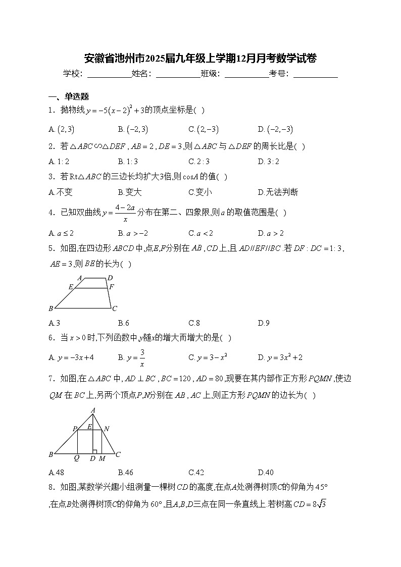 安徽省池州市2025届九年级上学期12月月考数学试卷(含答案)第1页