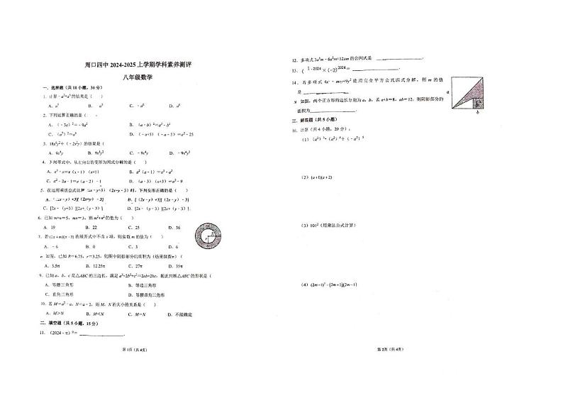 河南省周口市第四初级中学2024-2025学年八年级上学期12月学科素养评价数学试题第1页